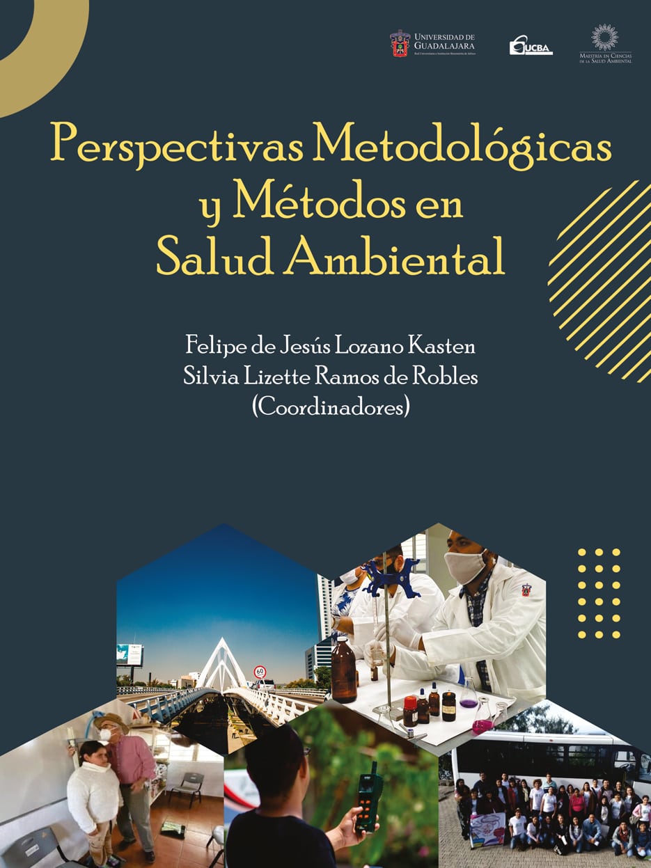 perspectivas-metodologicas-libro